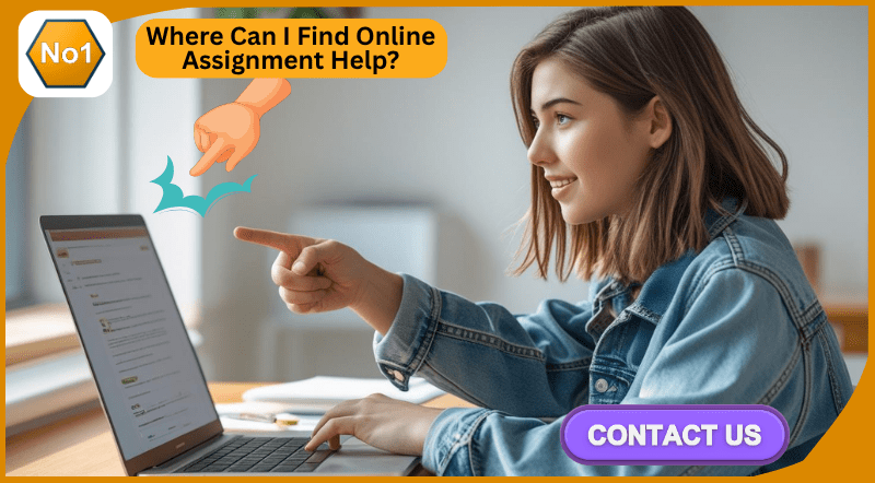 Where Can I Find Online Assignment Help?