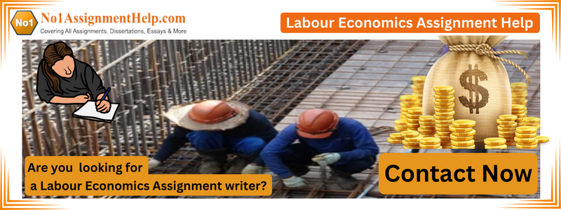 Labour Economics Assignment Help