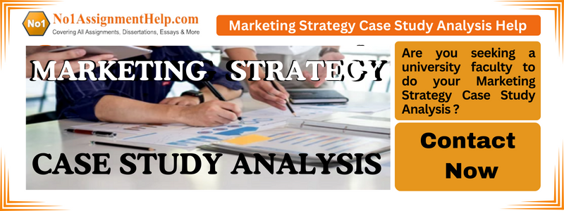 Marketing Strategy Case Study Analysis