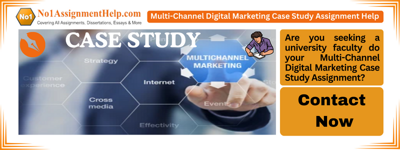 Multi-Channel Digital Marketing Case Study Assignment Help