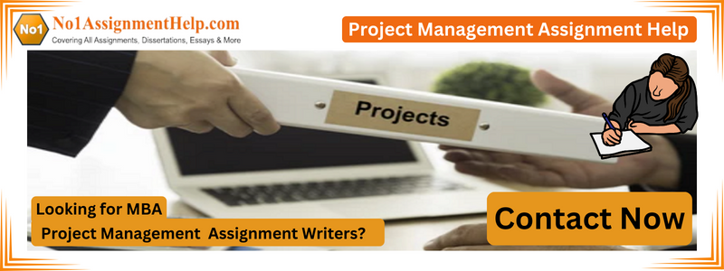 MBA Project Management Assignment Help